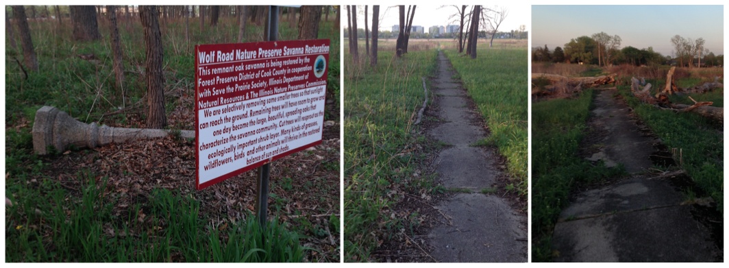 Abandoned Westchester Subdivision